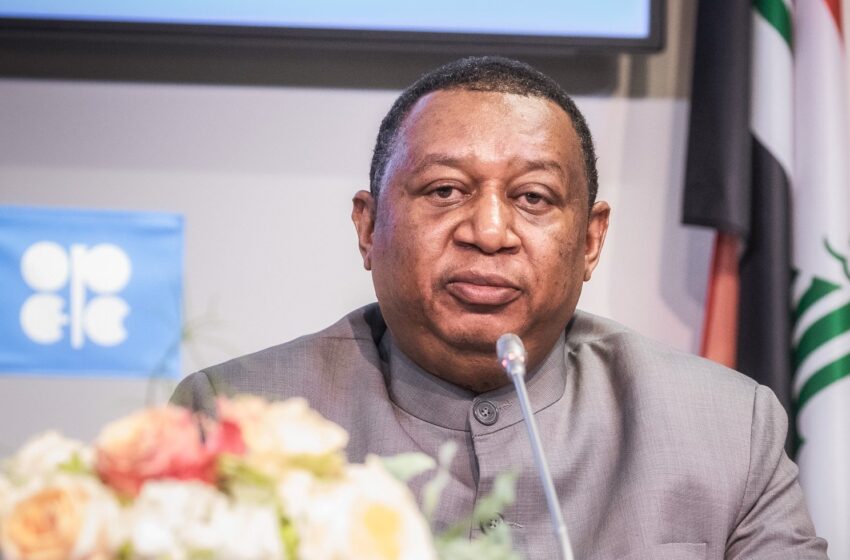  OPEC Secretary-General, Muhammad Sanusi Barkindo is dead