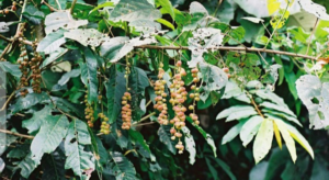 Screenshot_20220721-214434