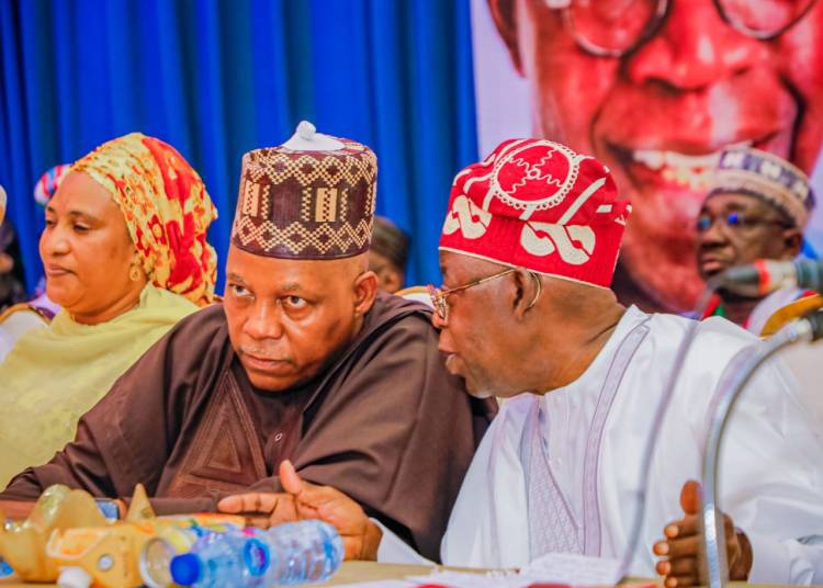  Age is just number, Tinubu has exposure, experience to govern Nigeria –Shettima