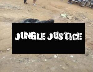 Jungle-Justice-1024x800