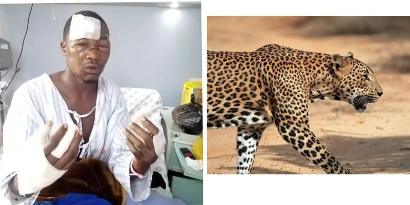  “One of us was going to die”, Man narrates fighting Leopard with bare hands