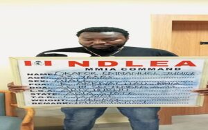 22-NDLEA-Okafor-Emmanuel-Junior