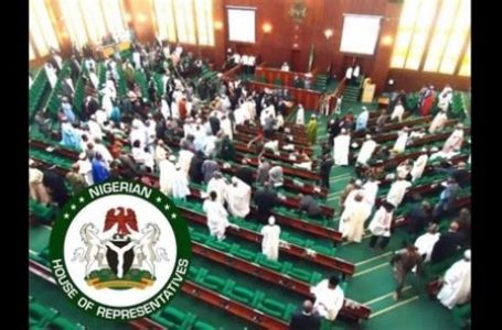 House of Reps to review efficiency of PPP, Concession agreements in Nigerian economy