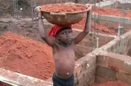 24.6m Nigerian children in child labour – Report