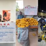 image_750x_691998a7d43c3-700x394