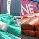 NDLEA intercepts N12.3bn cannabis shipment, busts drug syndicate in Lagos